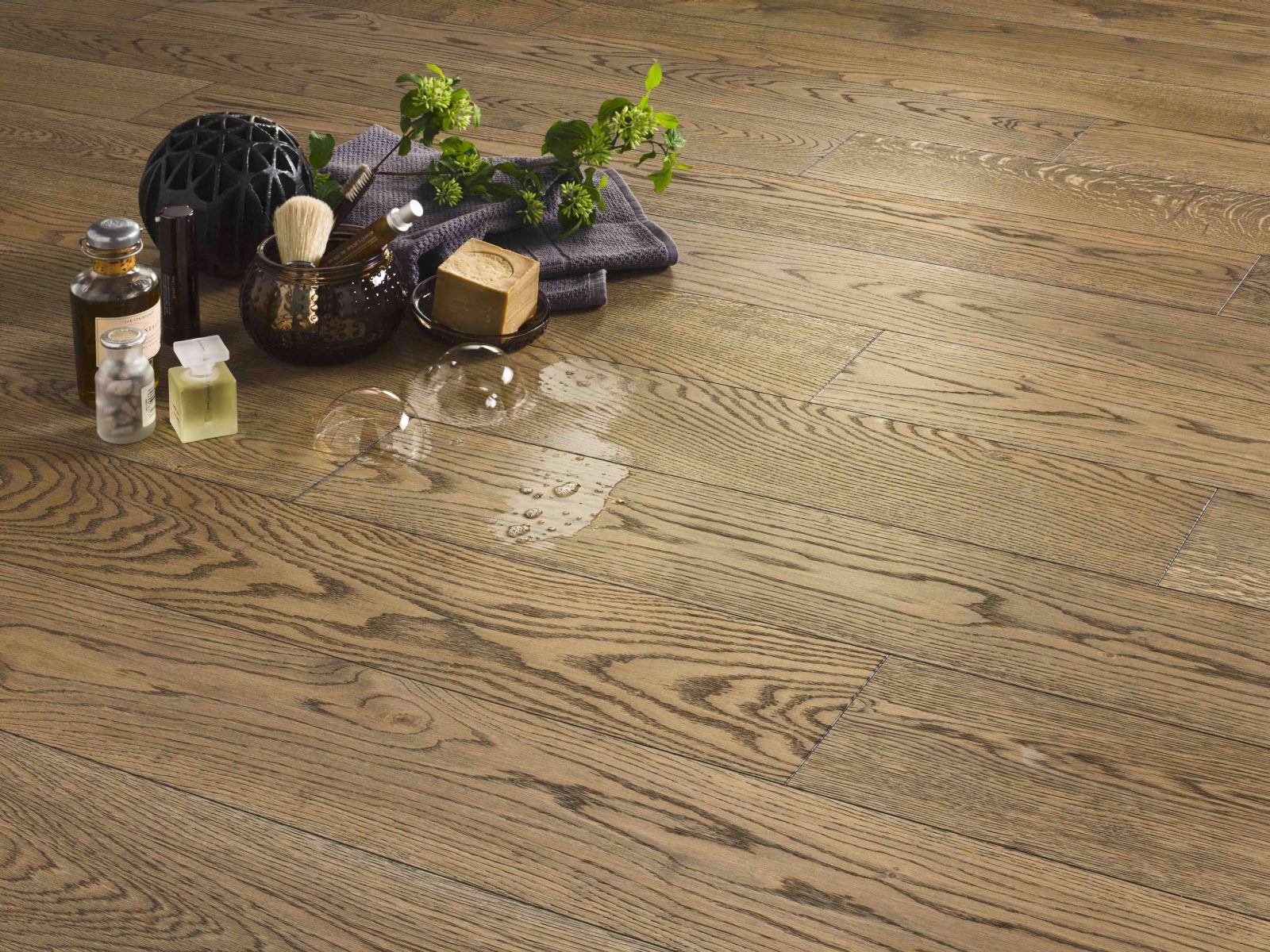 PROFILEGNO Rovere Europeo Cardamomo 1