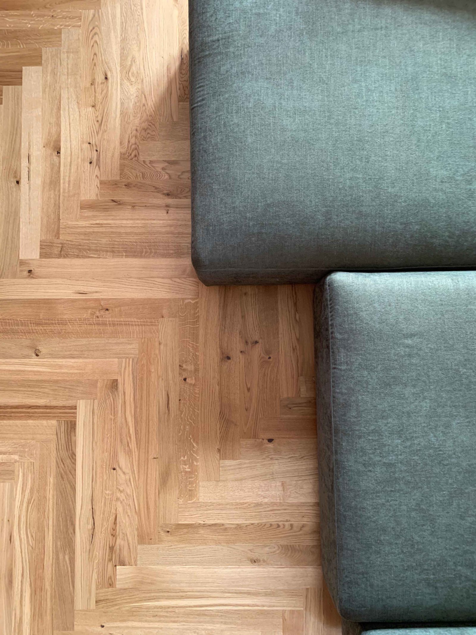 PROFILEGNO Rovere Europeo Cardamomo 4